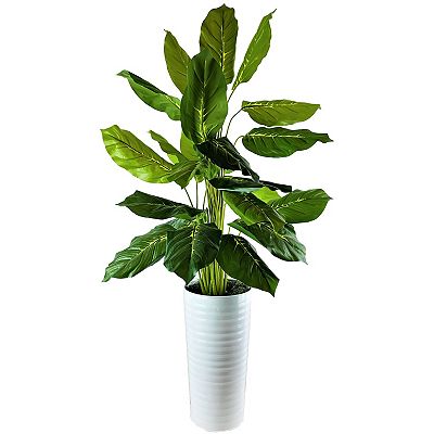 4' Dieffenbachia in Tall Metal Planter