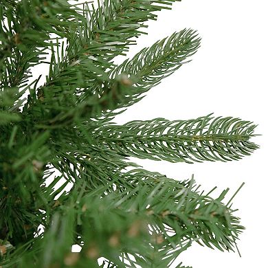 Northlight 4-ft. Unlit Full Sierra Noble Fir Artificial Christmas Tree