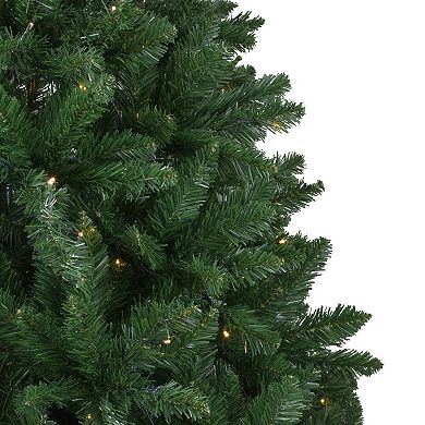 Northlight 7.5' Pre-Lit Full Twin Lakes Fir Artificial Christmas Tree - Warm White LED Lights