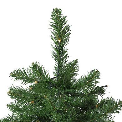 Northlight 7.5' Pre-Lit Full Twin Lakes Fir Artificial Christmas Tree - Warm White LED Lights
