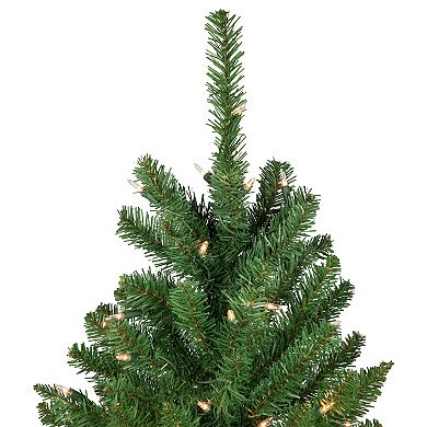 Northlight 7.5' Pre-Lit Pencil White River Fir Artificial Christmas Tree - Clear Lights