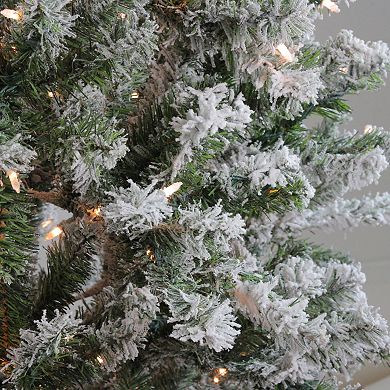 Northlight 7' Pre-Lit Clear Light Flocked Balsam Pine Artificial Christmas Tree