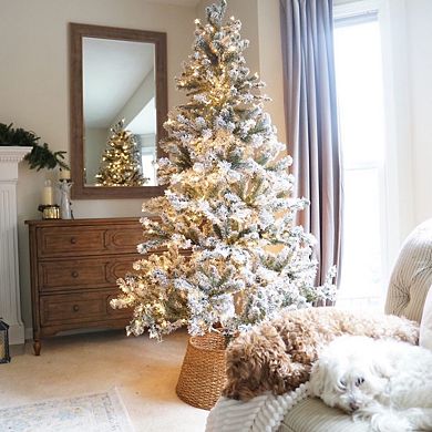 Northlight 7' Pre-Lit Clear Light Flocked Balsam Pine Artificial Christmas Tree
