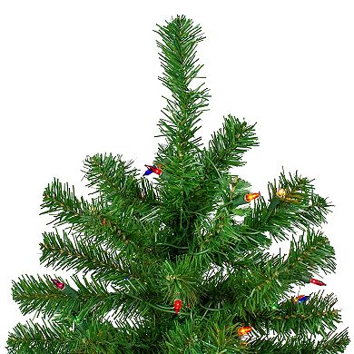 Northlight 7' Pre-Lit Norfolk Spruce Artificial Christmas Tree - Multi Lights