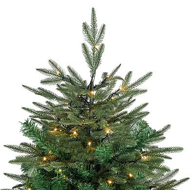 Northlight 7.5' Pre-Lit Hudson Fir Artificial Christmas Tree - Warm White LED Lights