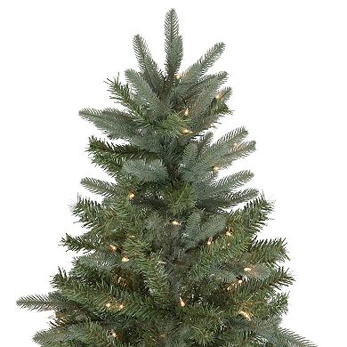 Northlight 9' Pre-Lit Granville Fraser Fir Artificial Christmas Tree - Clear Lights