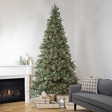Northlight 9' Pre-Lit Granville Fraser Fir Artificial Christmas Tree - Clear Lights