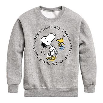 Boys 8-20 Peanuts Good Things Fleece Sweatshirt