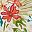 Breeze Floral