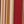 Roma Stripe