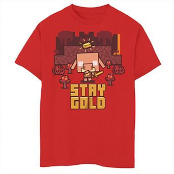 Boys 8-20 Minecraft Piglin Stay Gold Graphic Tee