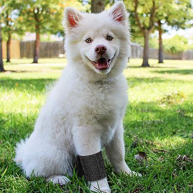 12-Rolls Self Adherent Bandage Wrap, Vet Tape, Medical Tape (2 In x 15 ft)
