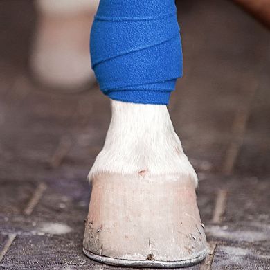 12 Pack Self Adherent Bandage Wrap Cohesive Tape for People, Pets, 3" x 6 Yards