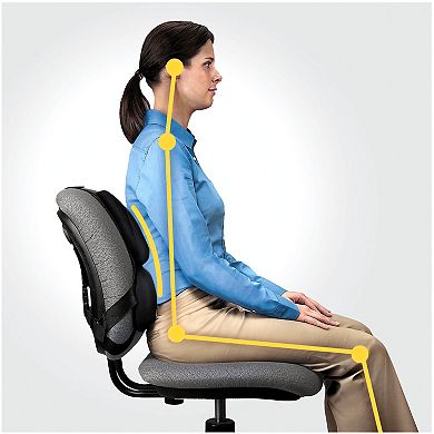 Fellowes Professional Series Office Chair Back Support 