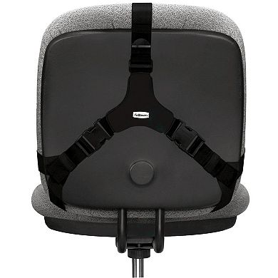 Fellowes Professional Series Office Chair Back Support