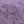 Pale Purple