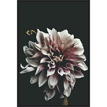 Amanti Art Dazed Dahlia by Beatrice Kiss Framed Canvas Wall Art Print