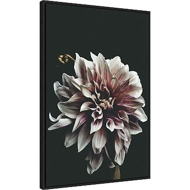 Amanti Art Dazed Dahlia by Beatrice Kiss Framed Canvas Wall Art Print