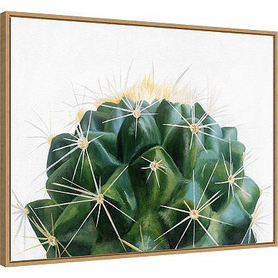 Amanti Art Cacti Framed Canvas Wall Art Print