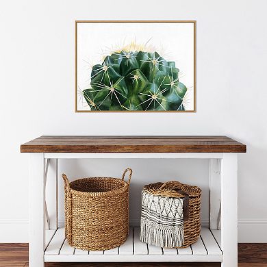 Amanti Art Cacti Framed Canvas Wall Art Print