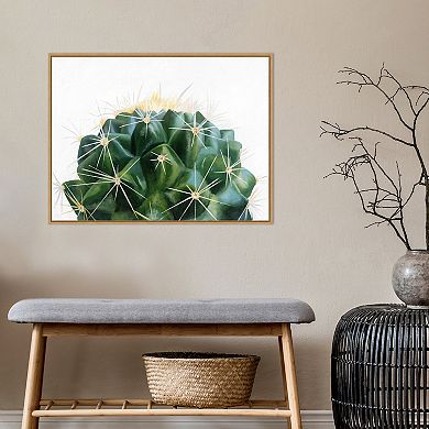 Amanti Art Cacti Framed Canvas Wall Art Print