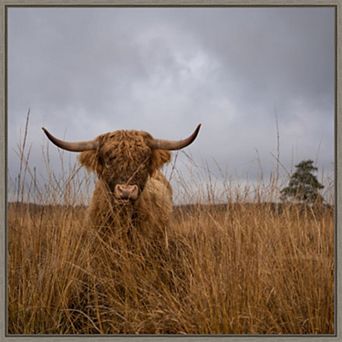 Amanti Art It Wasn't me (Highland Cow) Framed Canvas Wall Art Print