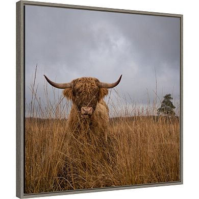 Amanti Art It Wasn't me (Highland Cow) Framed Canvas Wall Art Print