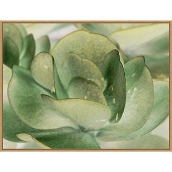 Amanti Art Petal I by Tang Ling Framed Canvas Wall Art Print