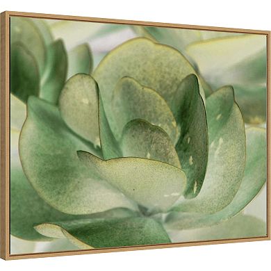 Amanti Art Petal I by Tang Ling Framed Canvas Wall Art Print