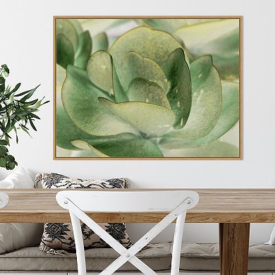 Amanti Art Petal I by Tang Ling Framed Canvas Wall Art Print