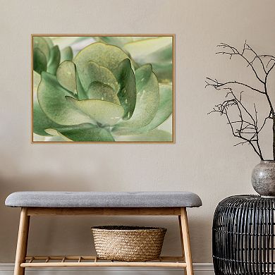 Amanti Art Petal I by Tang Ling Framed Canvas Wall Art Print