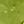 Peridot
