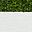 White Base