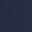 Collegiate Navy
