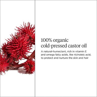 Curl Charisma Organic + Cold-Pressed 100% Castor Oil