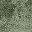 Deep Fern