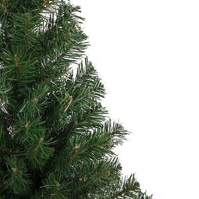 Northlight 3' Oakridge Noble Fir Artificial Christmas Tree Unlit