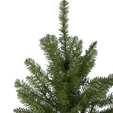 Northlight 4' Northern Pine Medium Artificial Christmas Tree Unlit