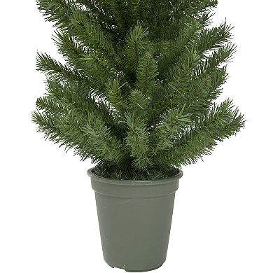 Northlight 4' Potted Virginia Pine Walkway Slim Artificial Christmas Tree - Unlit