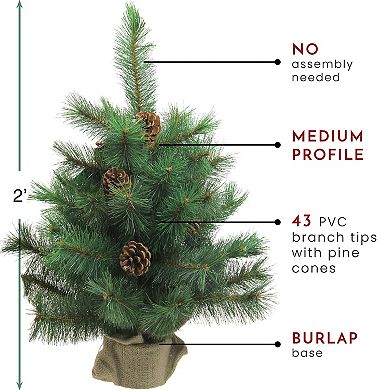 Northlight 2 ft. Royal Oregon Pine Medium Artificial Christmas Tree in Burlap Base - Unlit