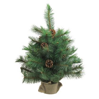 Northlight 18 in Medium Royal Oregon Pine Burlap Base Artificial Christmas Tree - Unlit