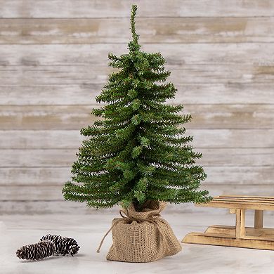 Northlight 1-1/2-ft. Potted Downswept Village Pine Artificial Christmas Tree
