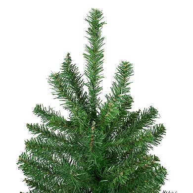 Northlight 6.5 ft. Winona Fir Artificial Christmas Tree Unlit