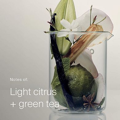 Full Volume & Root-Lifting Spray