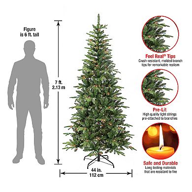 National Tree Company 7-ft. 350-Multi Color Light Pacific Pine ...