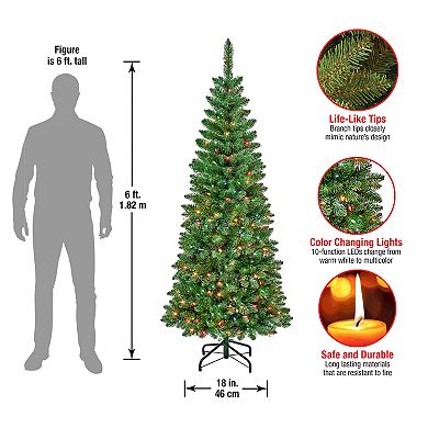 National Tree Company 6-ft. Rowan Pencil Slim 250-Light Artificial ...