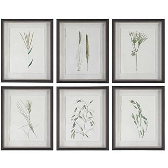 Forest Finds Framed Prints 6 pc Set