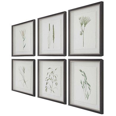 Forest Finds Framed Prints 6-Piece Set