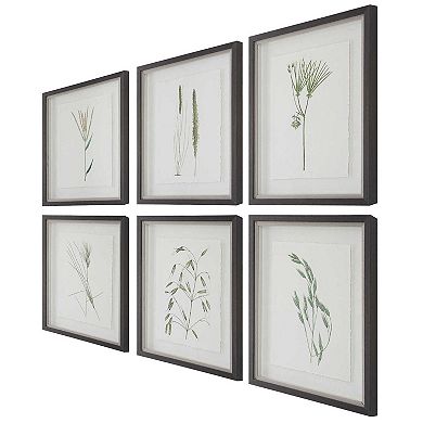 Uttermost Forest Finds Framed Prints 6-Piece Set