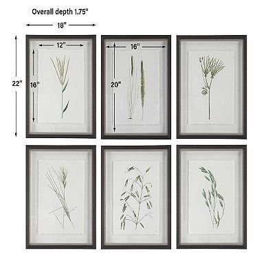 Forest Finds Framed Prints 6-Piece Set